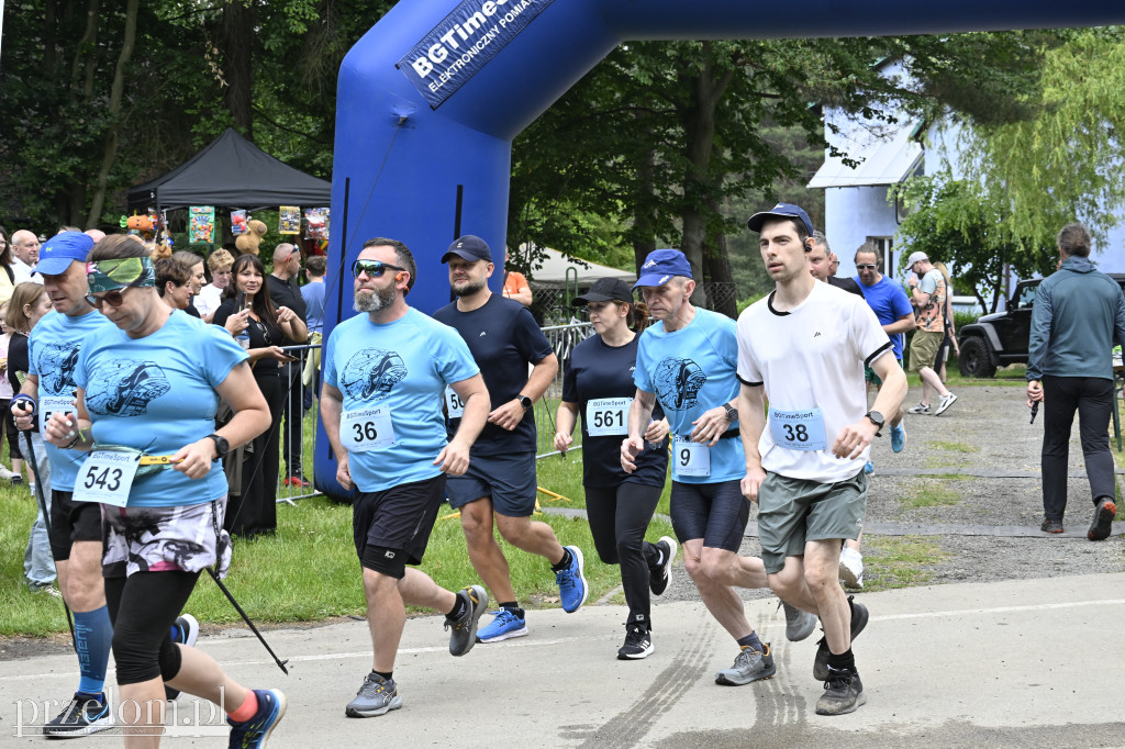 Bukowica Run 2026 - 31.05.2026