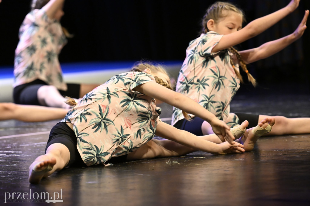 Festiwal Tańca i Akrobatyki DanceArt - 14.06.2026