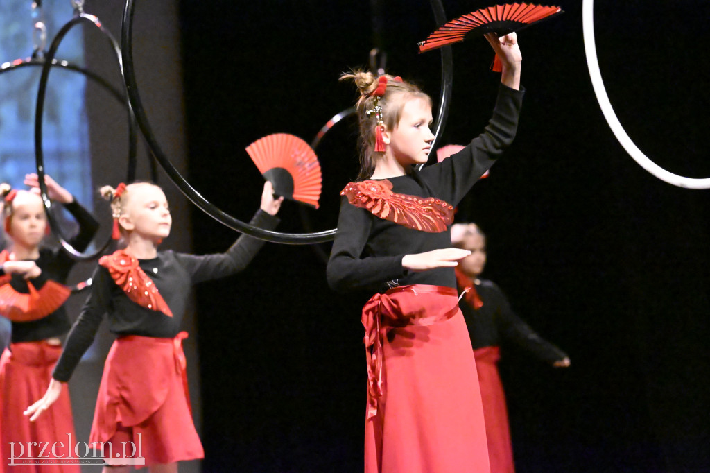 Festiwal Tańca i Akrobatyki DanceArt - 14.06.2026