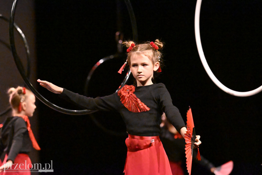 Festiwal Tańca i Akrobatyki DanceArt - 14.06.2026