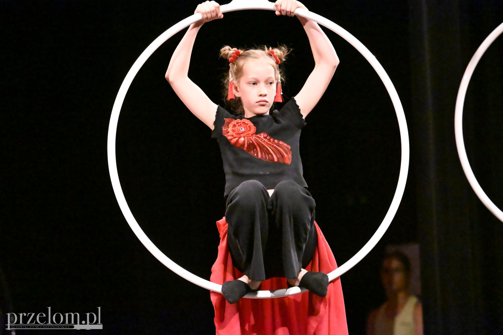 Festiwal Tańca i Akrobatyki DanceArt - 14.06.2026