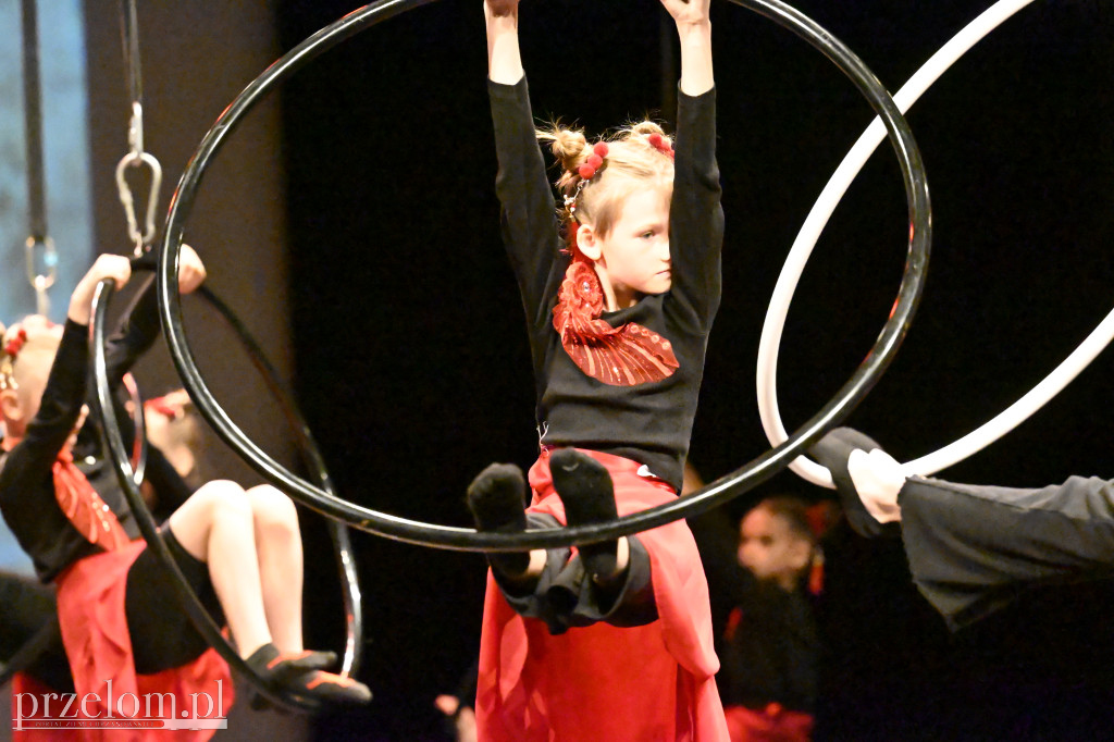 Festiwal Tańca i Akrobatyki DanceArt - 14.06.2026
