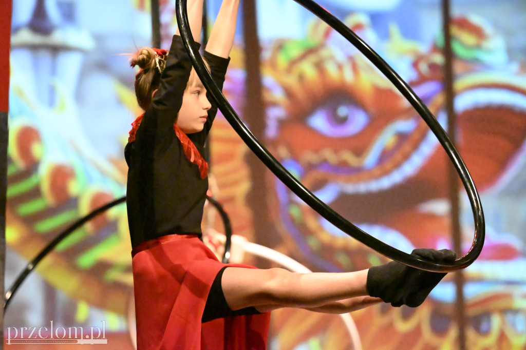 Festiwal Tańca i Akrobatyki DanceArt - 14.06.2026
