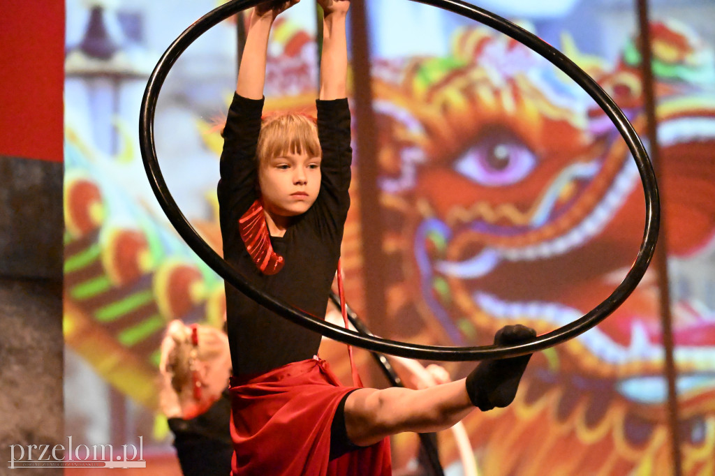 Festiwal Tańca i Akrobatyki DanceArt - 14.06.2026