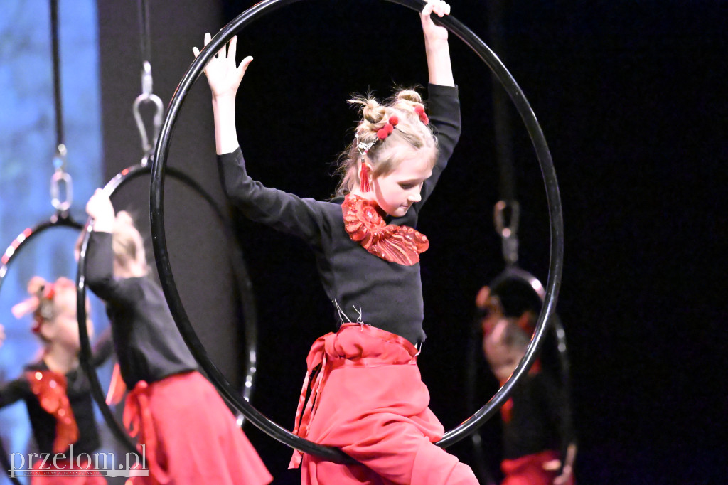 Festiwal Tańca i Akrobatyki DanceArt - 14.06.2026