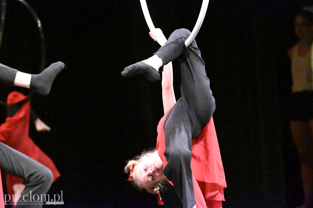 Festiwal Tańca i Akrobatyki DanceArt - 14.06.2026