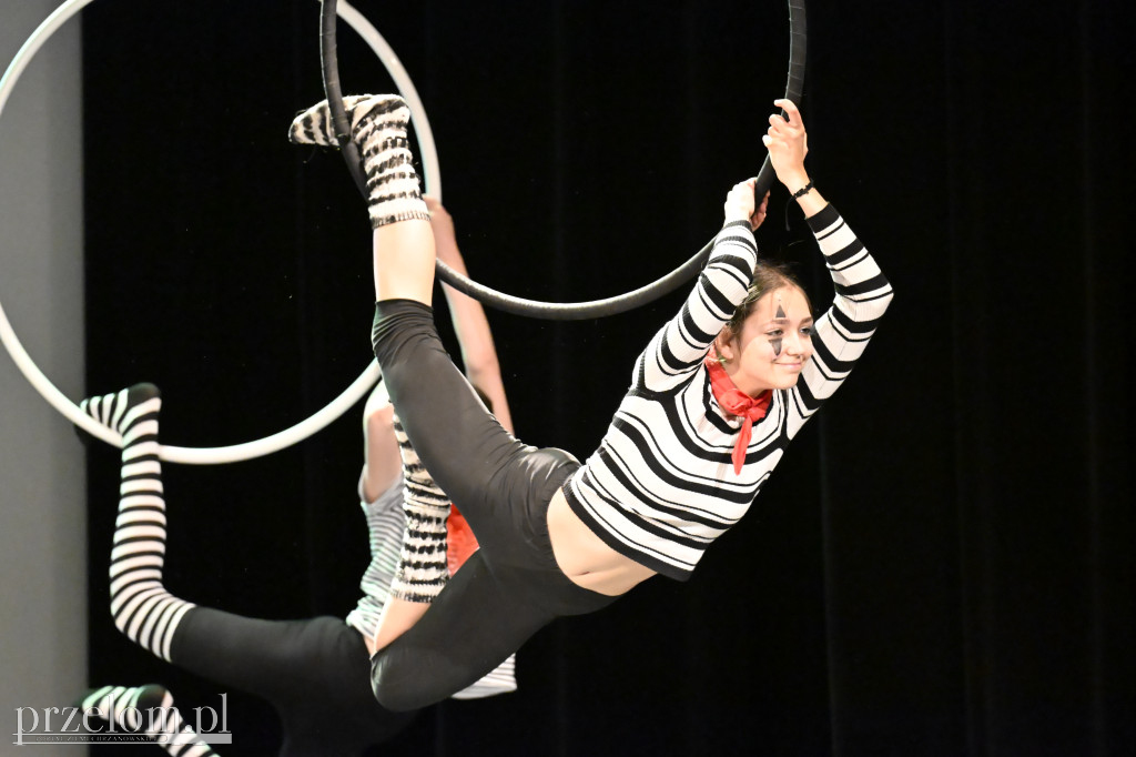Festiwal Tańca i Akrobatyki DanceArt - 14.06.2026