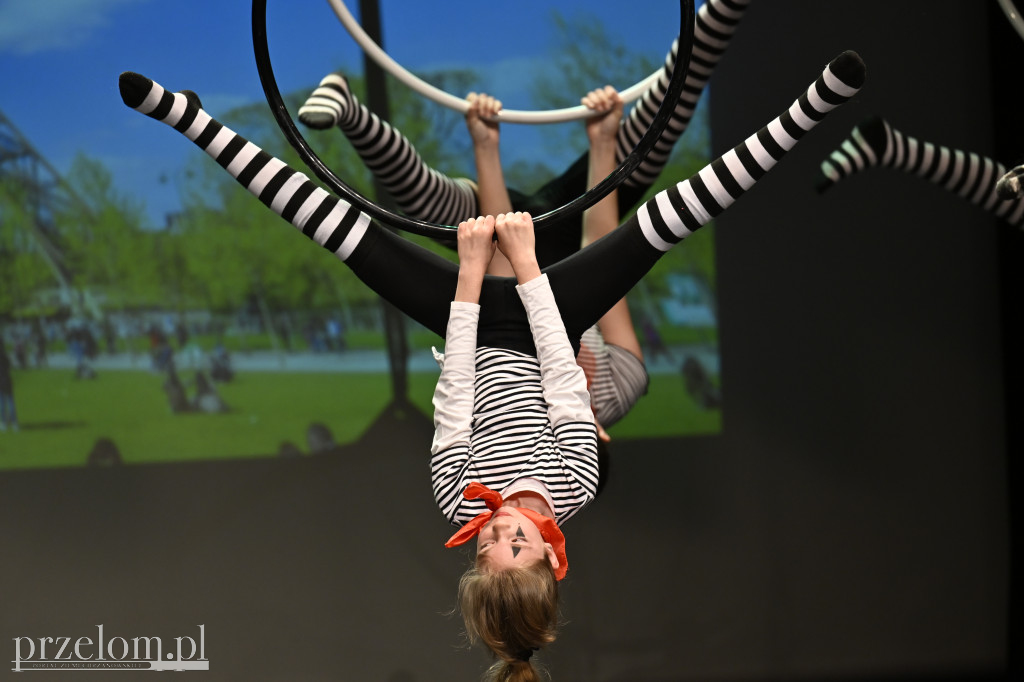 Festiwal Tańca i Akrobatyki DanceArt - 14.06.2026