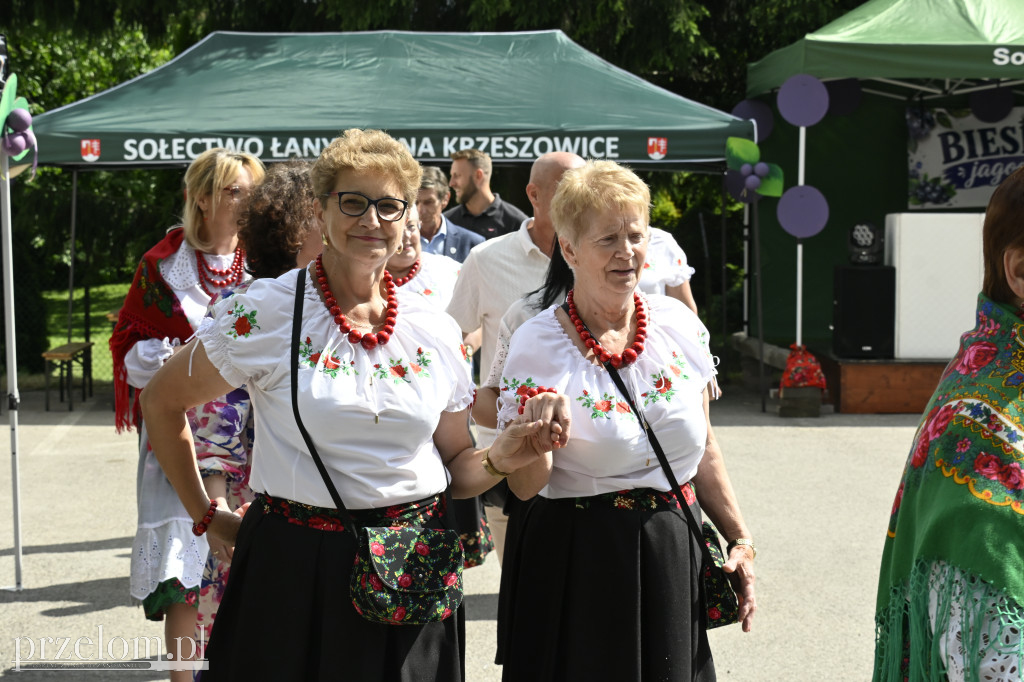 Jagodowa Biesiada - 04.07.2026