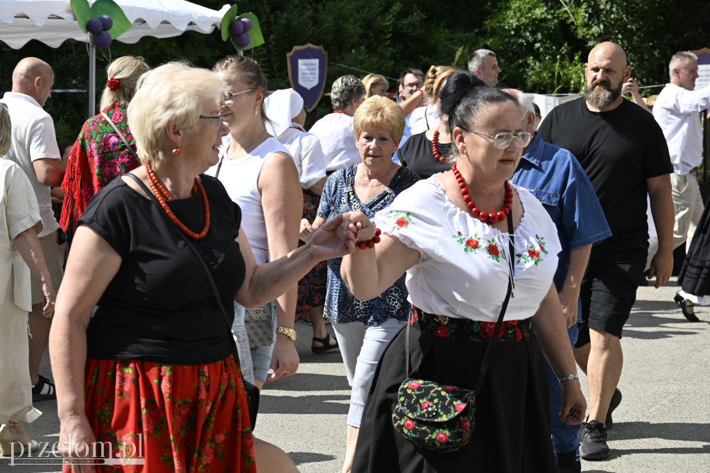 Jagodowa Biesiada - 04.07.2026