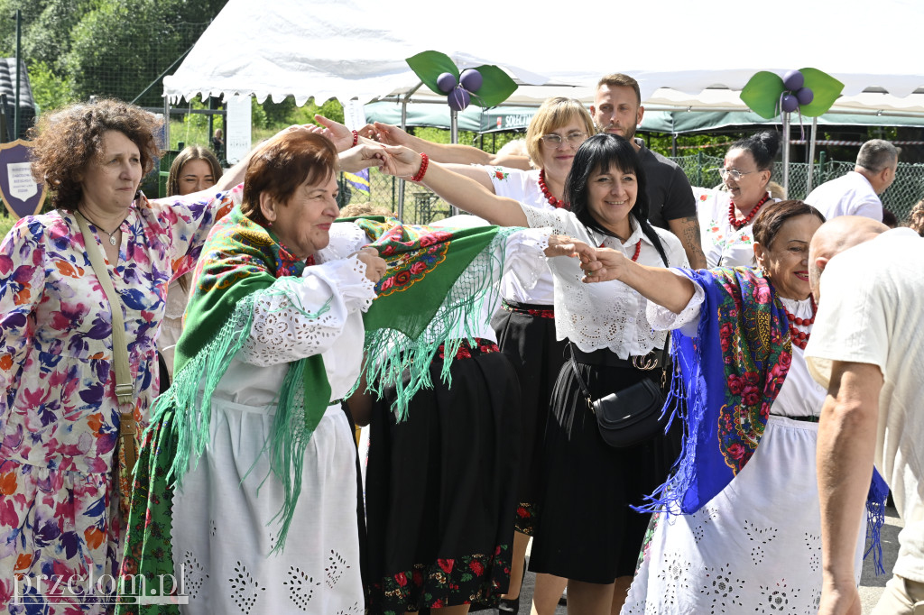Jagodowa Biesiada - 04.07.2026