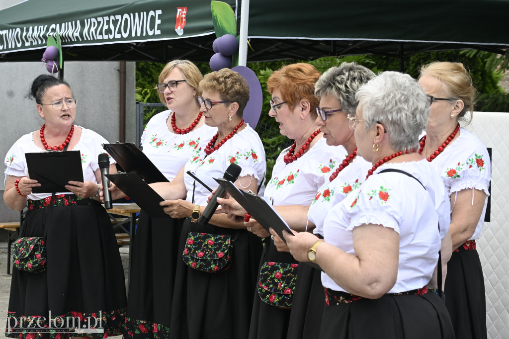 Jagodowa Biesiada - 04.07.2026