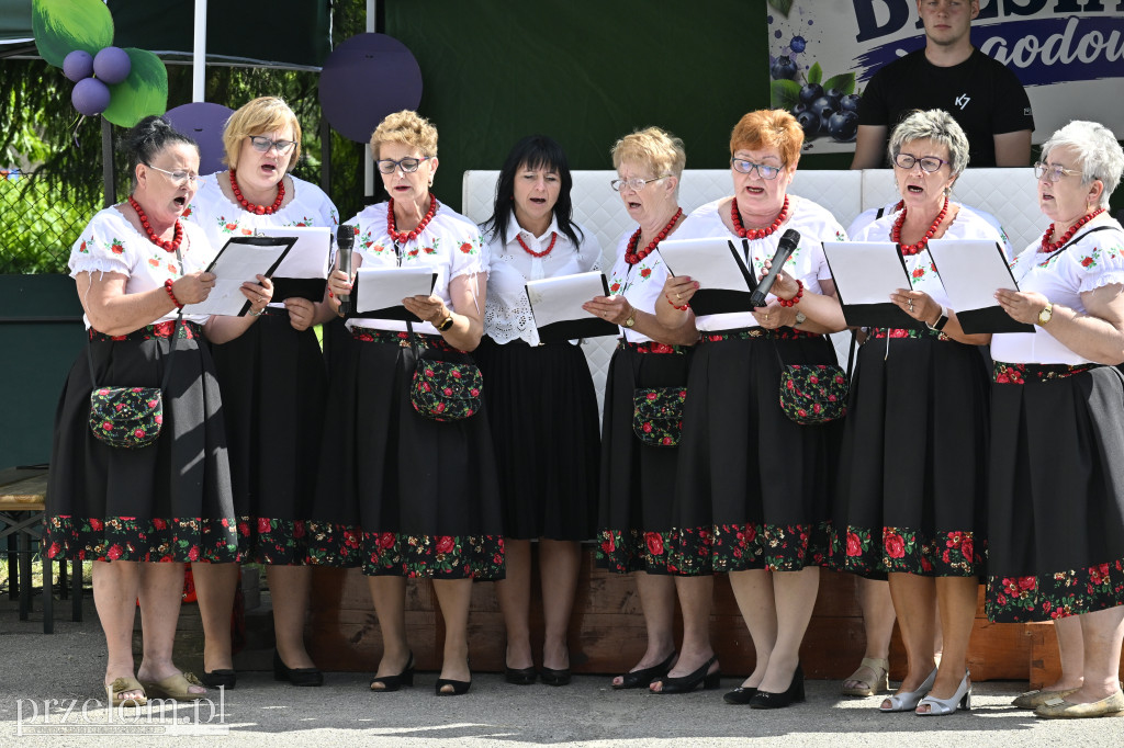 Jagodowa Biesiada - 04.07.2026