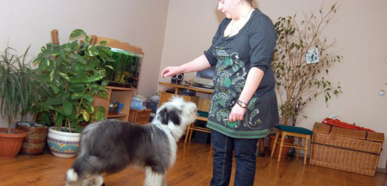 Dorota Wiśniewska-Dorynek ze swoją pupilką rzadko spotykanej rasy bearded collie