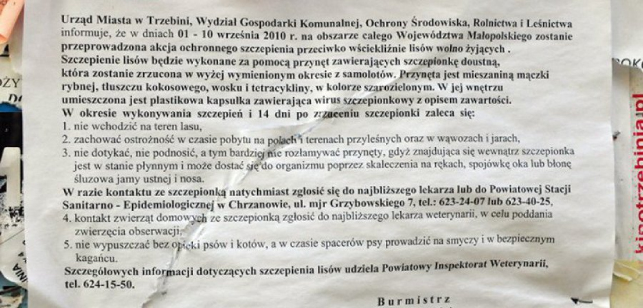 Zawiadomienia o ochronnym szczepieniu lisów zwisły na tablicach ogłoszeń. Można się z nimi zapoznać również na stronie internetowej starostwa powiatowego. 