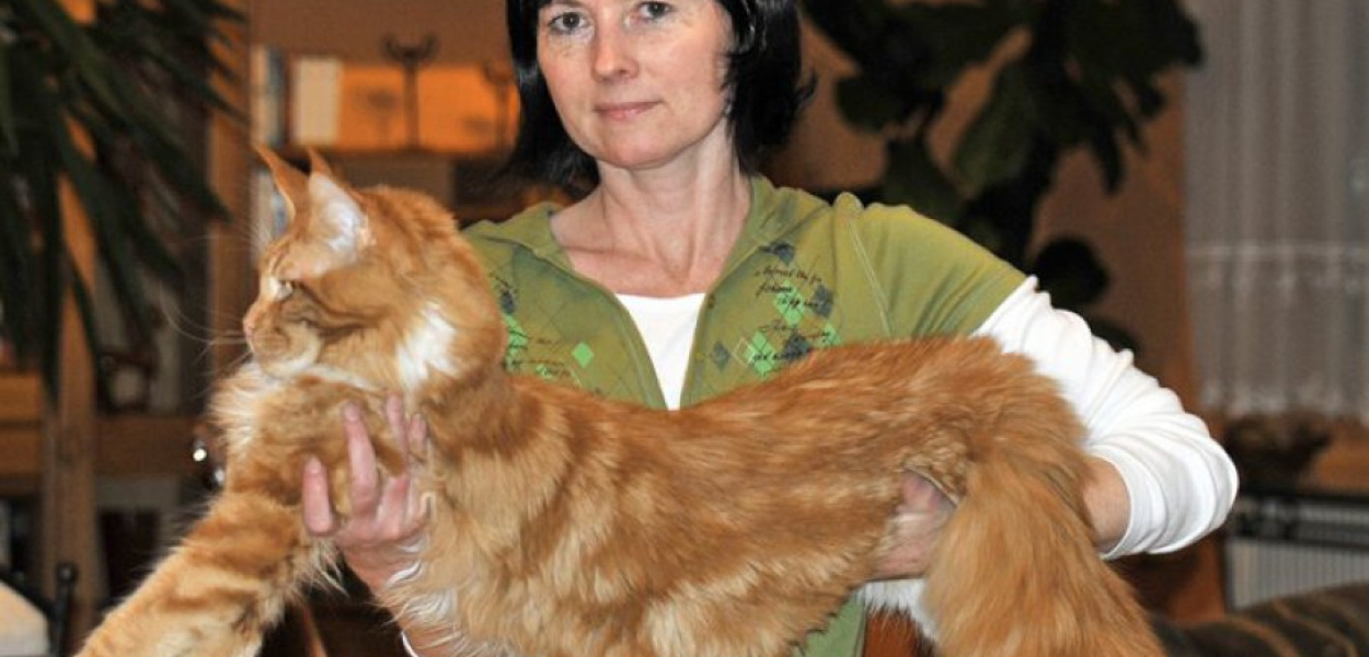 Katarzyna Janusz z kotem rasy main coon o imieniu Donek 