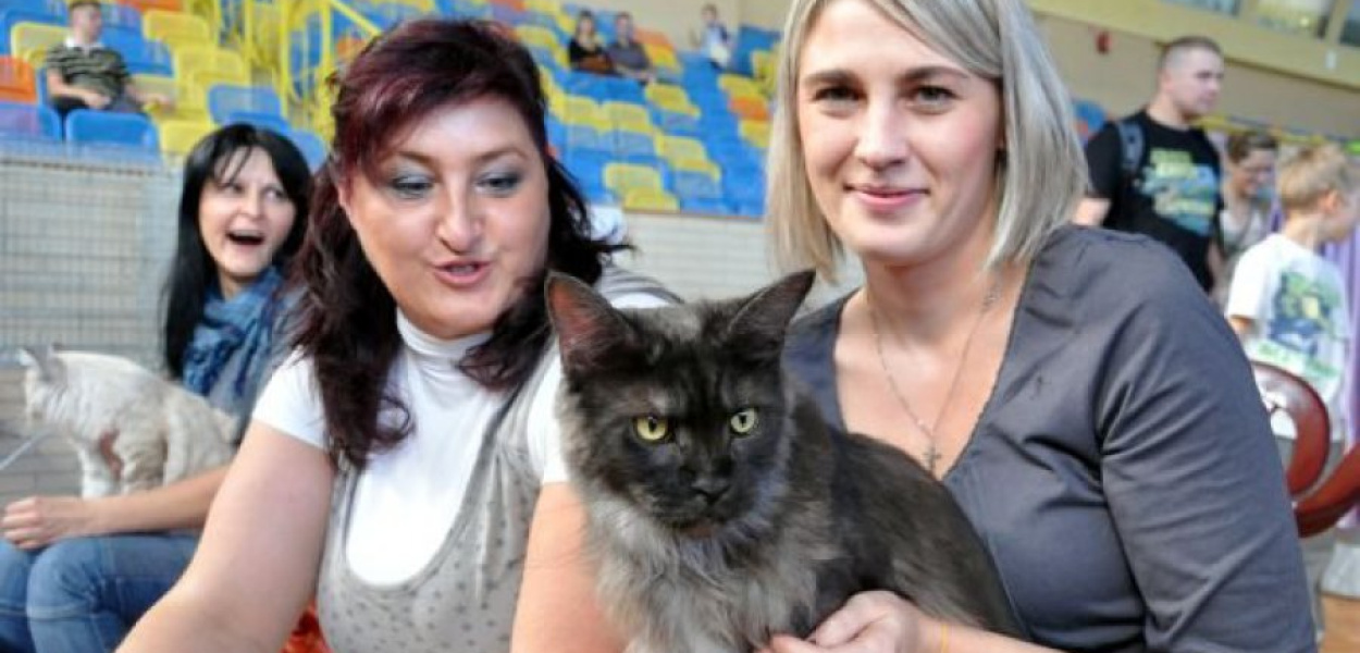 Anna Lenartowicz i Katarzyna Polak z Jackiem Danielsem