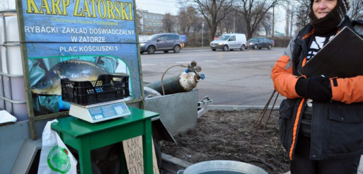 Na tym stoisku w Chrzanowie rzeczywiście sprzedawany jest oryginalny karp zatorski. Właścicielka zainteresowanym pokazuje certyfikat. 