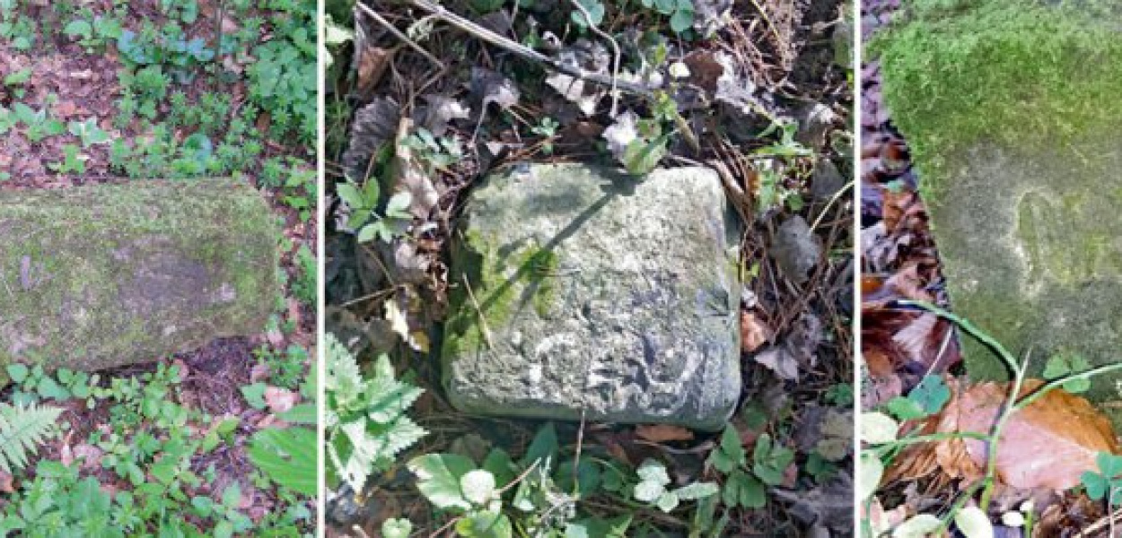 Różne rodzaje słupków granicznych. Kiedyś były bardzo ważne, dziś często nie wiemy nawet, jakie obszary wyznaczały