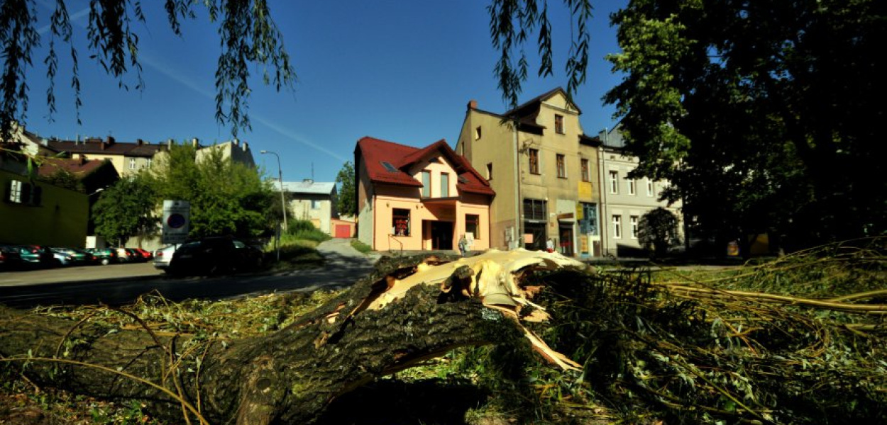 Tereny zielone przy ul. Świętokrzyskiej w Chrzanowie