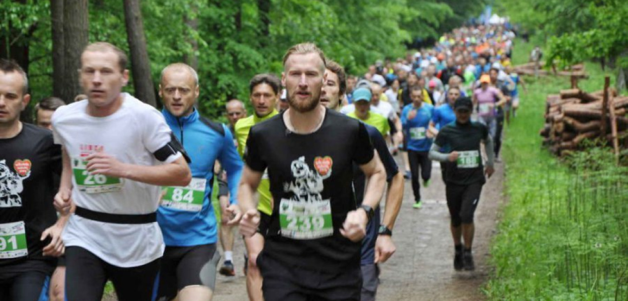 Uczestnicy ubiegłorocznego biegu Puszcza Run na trasie   Fot. Anna Jarguz