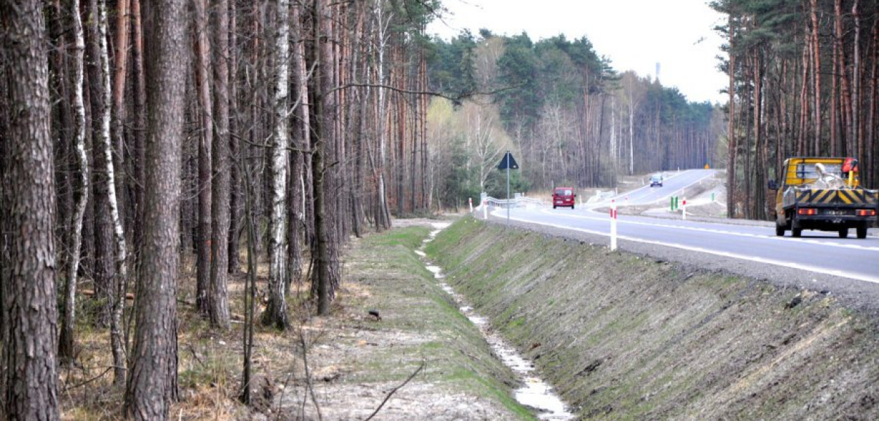 Nowa nawierzchnia kusi, by rozwinąć wiekszą prędkość. Kierowcy powinni jednak uważać, bo z lasu często wybiegają dzikie zwierzęta