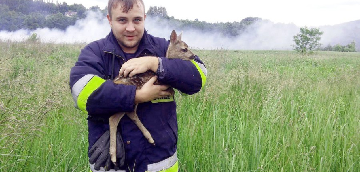 Mateusz Berny z OSP Grojec uratował małą sarnę, która nie mogła się wydostać z zadymionej łąki. FOT. BARTŁOMIEJ PIECHOTA Z OSP GROJEC.