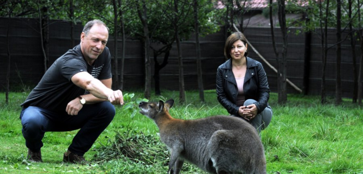 Janusz Likus karmi Fifiego, a żona Monika kibicuje tej przyjaźni