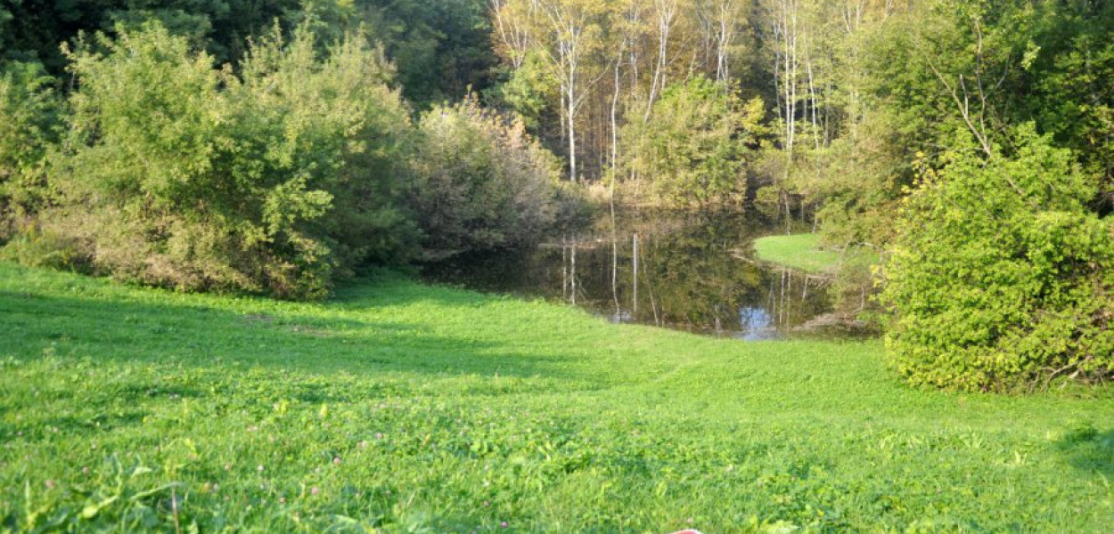 Widok z góry na chrzanowską skałę w Fabloku