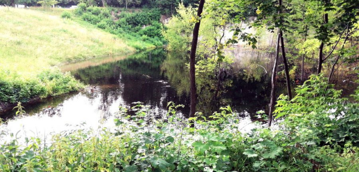 Widok na Skałę od strony szkoły podstawowej, która obecnie jest tuż nad brzegiem akwenu