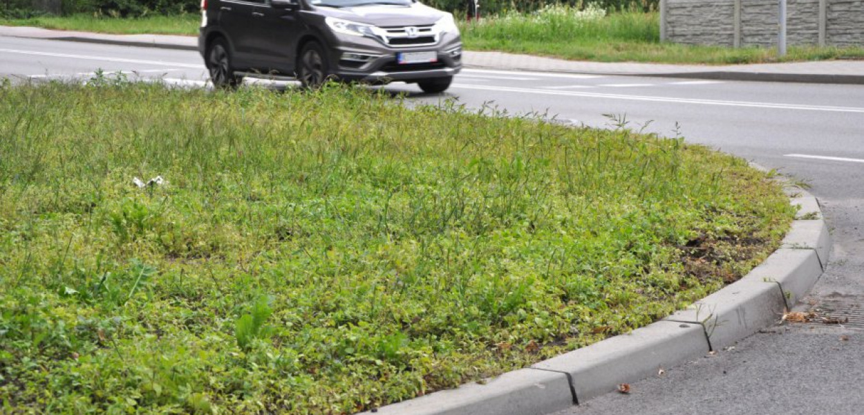 Zarośnięty skwer przy wjeździe do Dworu Zieleniewskich w Trzebini