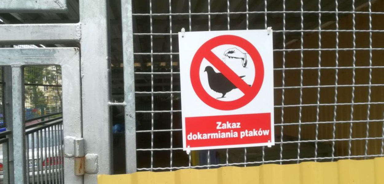 Taka tabliczka z zakazem wysypywania karmy gołębiom znajduje się przy śmietniku na chrzanowskim osiedlu Północ
