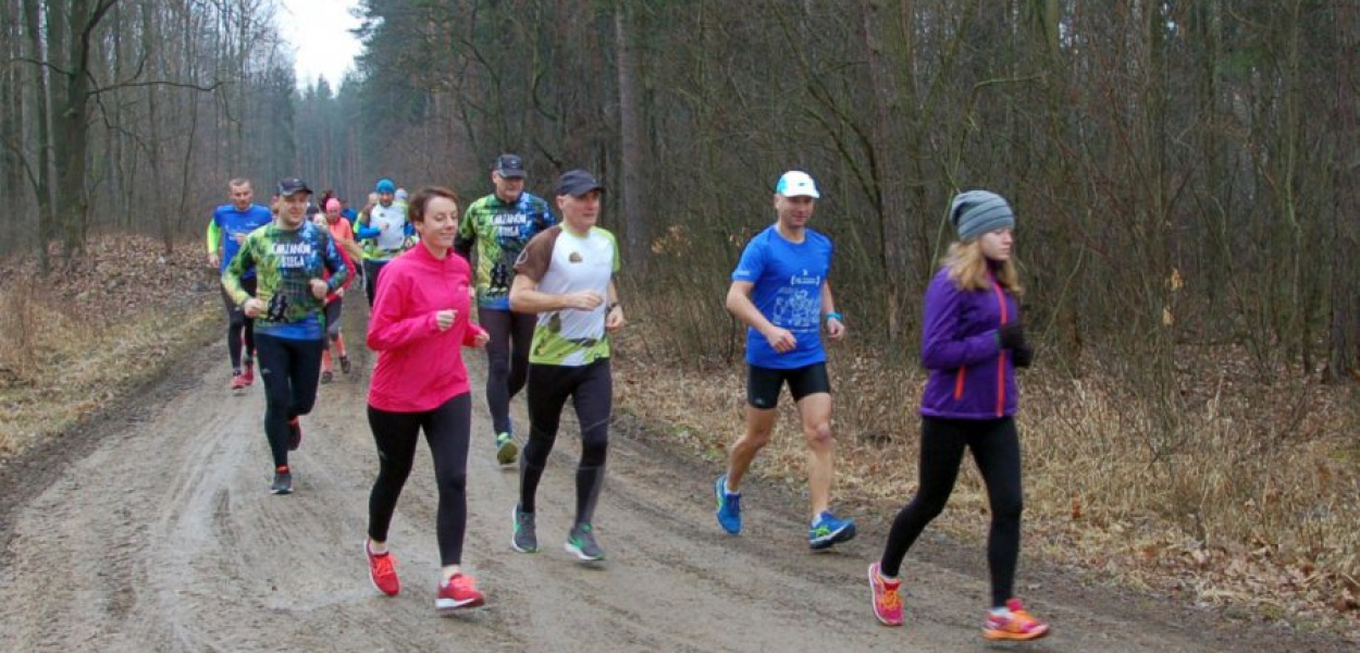 Trasa biegu na 5 km wytyczona została w leśnej scenerii