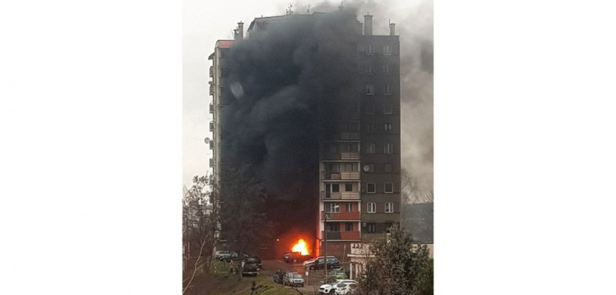 Zdjęcie nadesłane przez Czytelniczkę