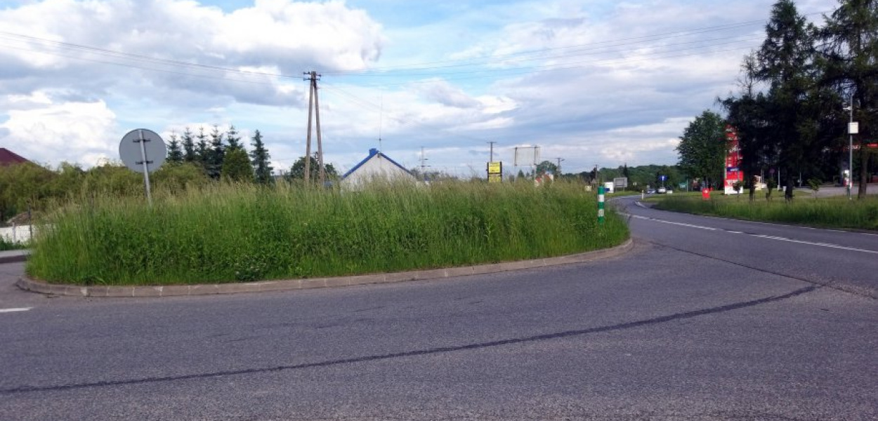 Zarośnięta wysepka na skrzyżowaniu ul. Krakowskiej i szosy wojewódzkiej 780 w Alwerni