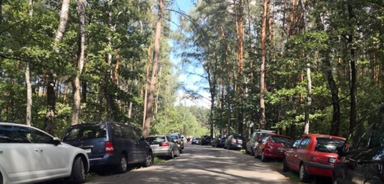 Zdjęcie nadesłane przez Czytelnika