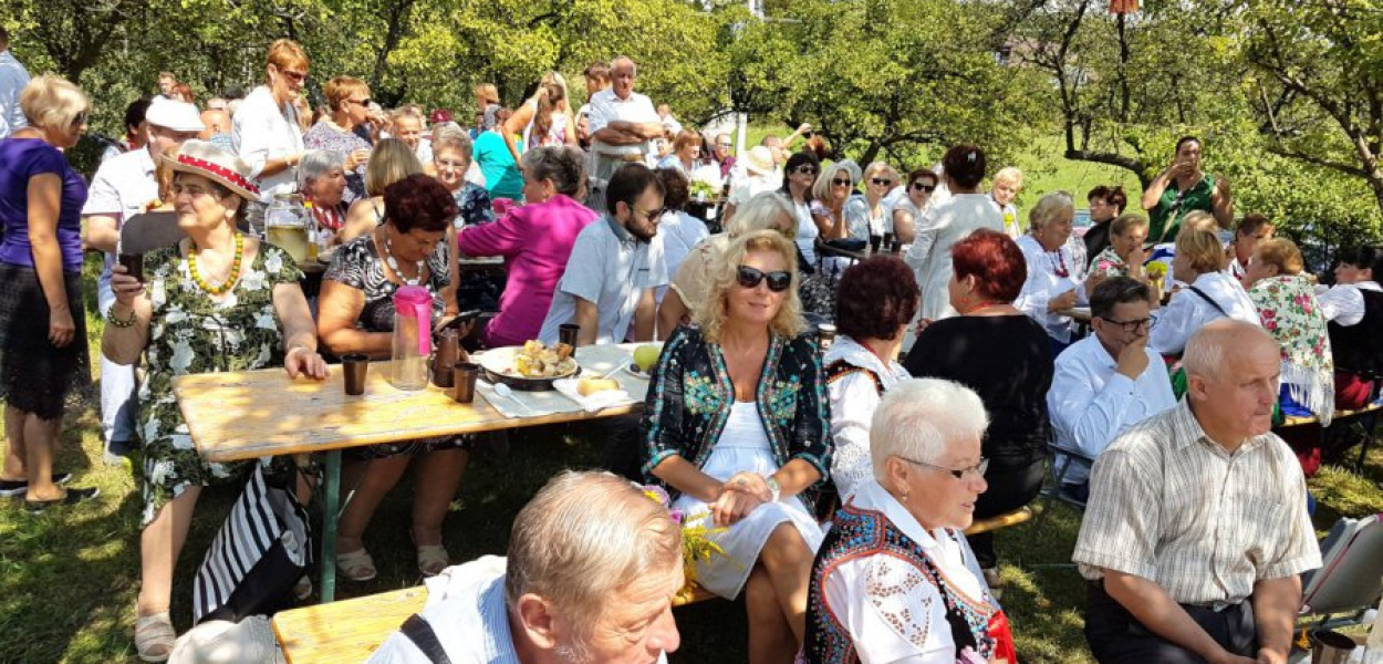 Podczas pikniku w sadzie w Rudnie