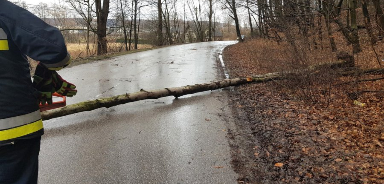 Połamane drzewo na drodze w Tenczynku. FOT. OSP Tenczynek