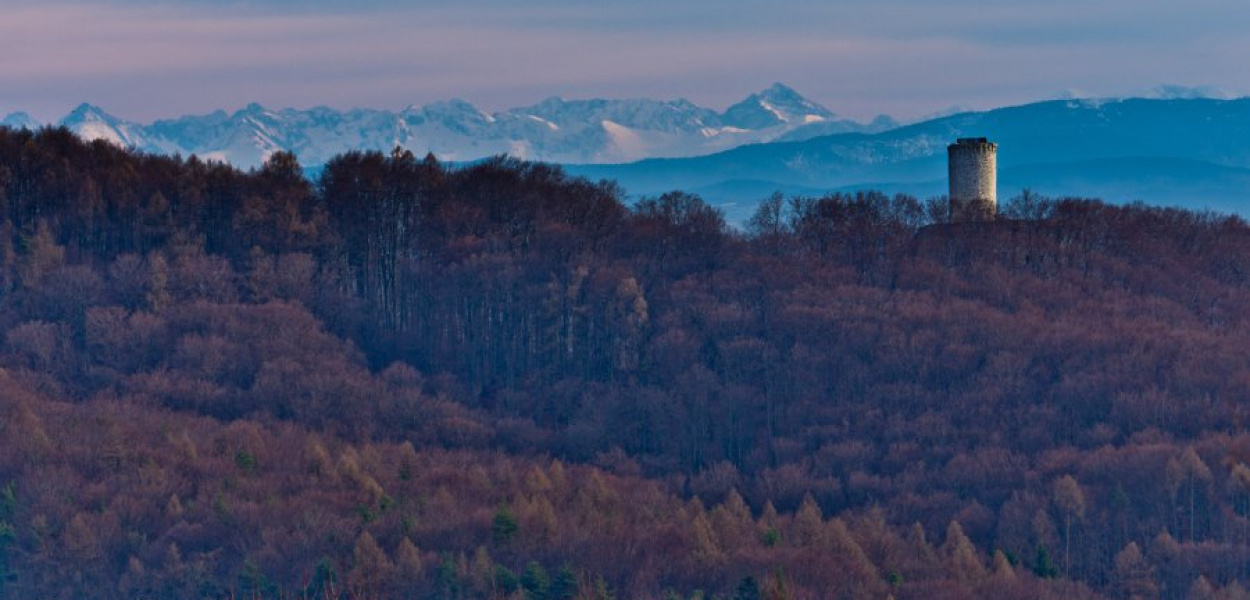 Widok na Lipowiec i Tatry od Pogorzyc. Po prawej Krywań, pod nim Kasprowy. Fot. Piotr Kłeczek
