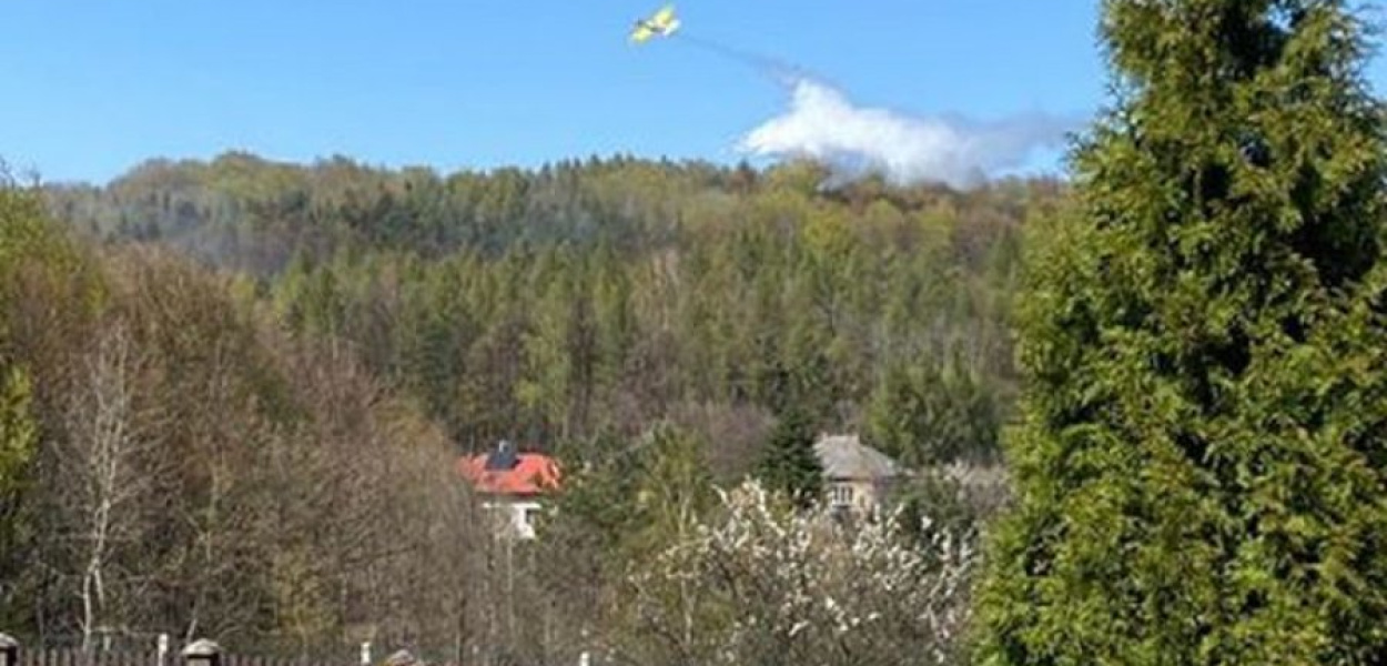 W gaszeniu pożaru lasu w Psarach uczestniczył też samolot, fot. Czytelniczki