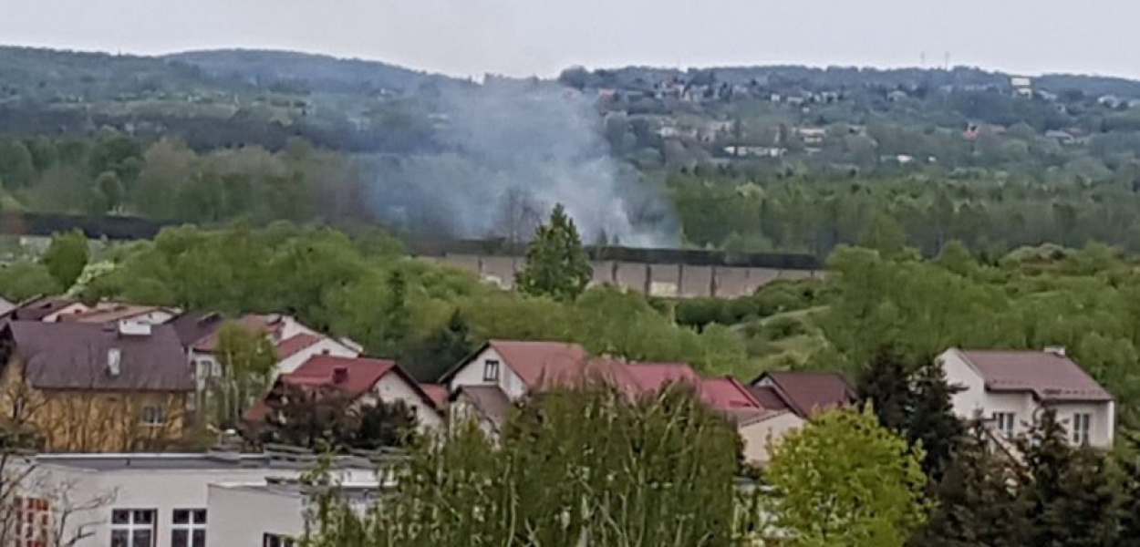 Pali się trawa przy ulicy Żmudnej w Chrzanowie 