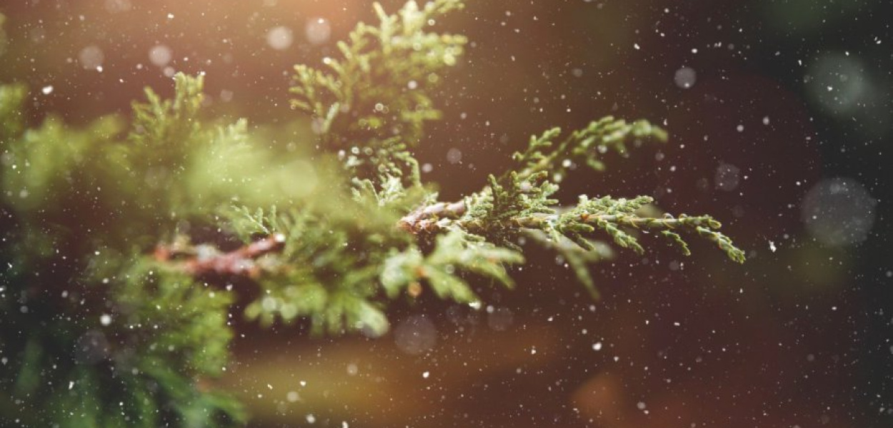 Rano gdzieniegdzie sypał śnieg. Zdjęcie poglądowe. FOT. Pixabay
