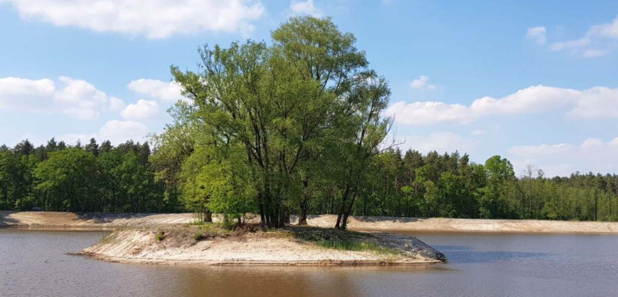 Staw na libiąskich Szyjkach  