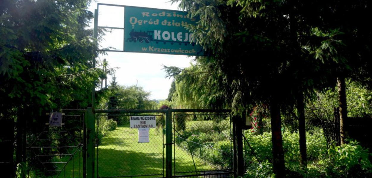 Ogródki działkowe &quot;Kolejarz&quot; mogą zmienic lokalizację. FOT. Kacper Ropka