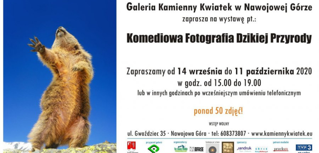 Warto zobaczyć tę wystawę