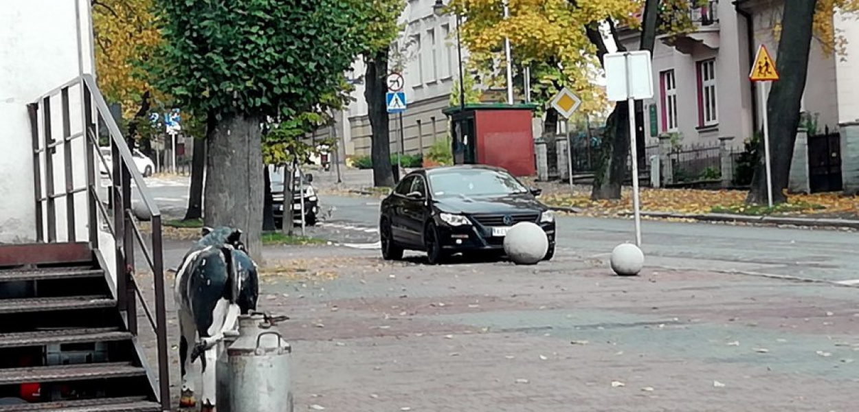 Niektórzy dalej parkują na chodniku na Alei Henryka w Chrzanowie