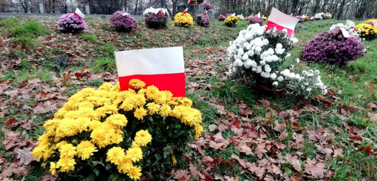 Chrzanowski cmentarz z czasów I wojny światowej, ozdobiony chryzantemami z okazji Święta Niepodległości