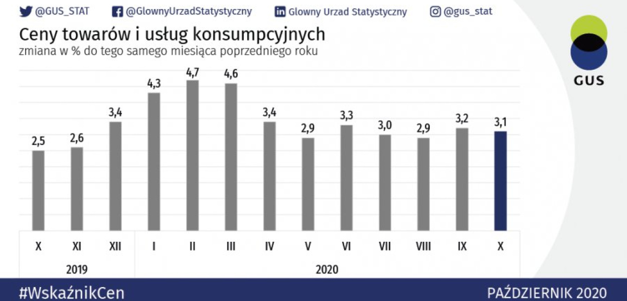 Infografika GUS