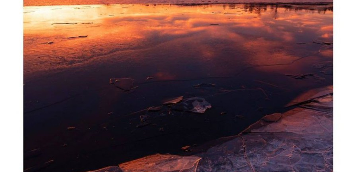 Chechło Arctic. Fot. Michał Winiarczyk