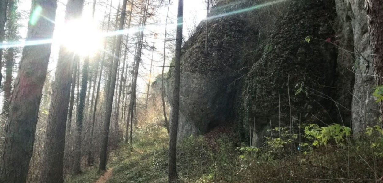 Dolina Brzoskwinki znajduje się niedaleko Krzeszowic